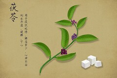 如何制定智能篮球训练计划_0